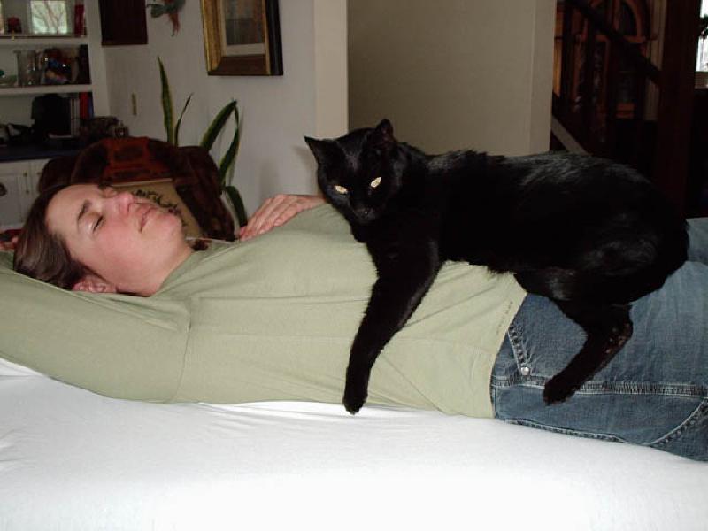 Puck finds a warm perch on Marla's tummy while she snoozes before her stretches.