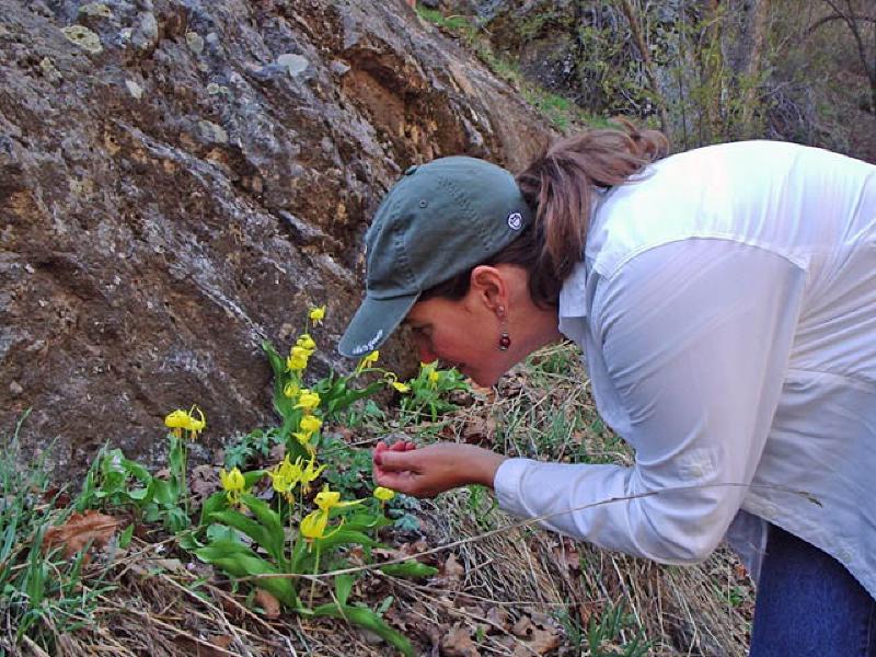 Stopping to admire the beauty of newly-blossomed Spring wildflowers in No-Name canyon!
