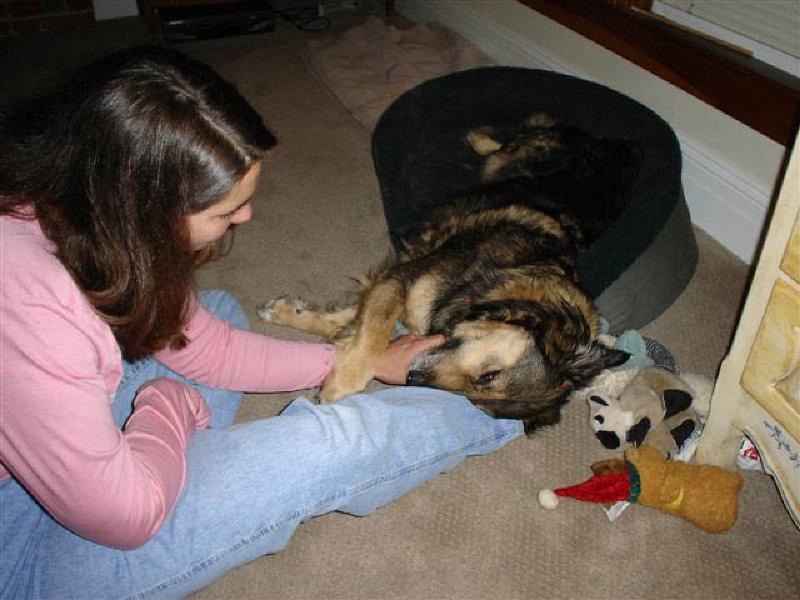 Marla really likes playing with Leigh's dog, Bandit.