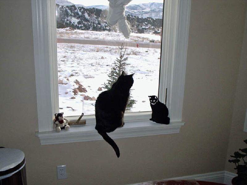 Puck admires the view from the window, along with his cast-iron mirror image!