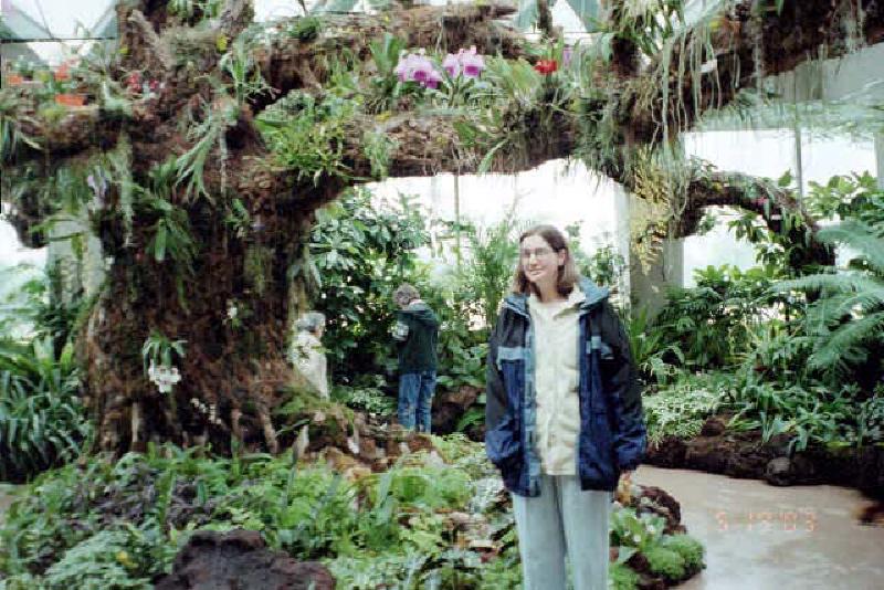 A chilly day outside makes for a nice day to enjoy the tropical flowers and trees at the Denver Botanic Gardens, also very close to the Brooks' place on Race.
