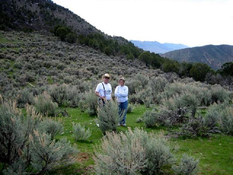 September Photo Gallery / Dad and Mom and the Sage 08/2007